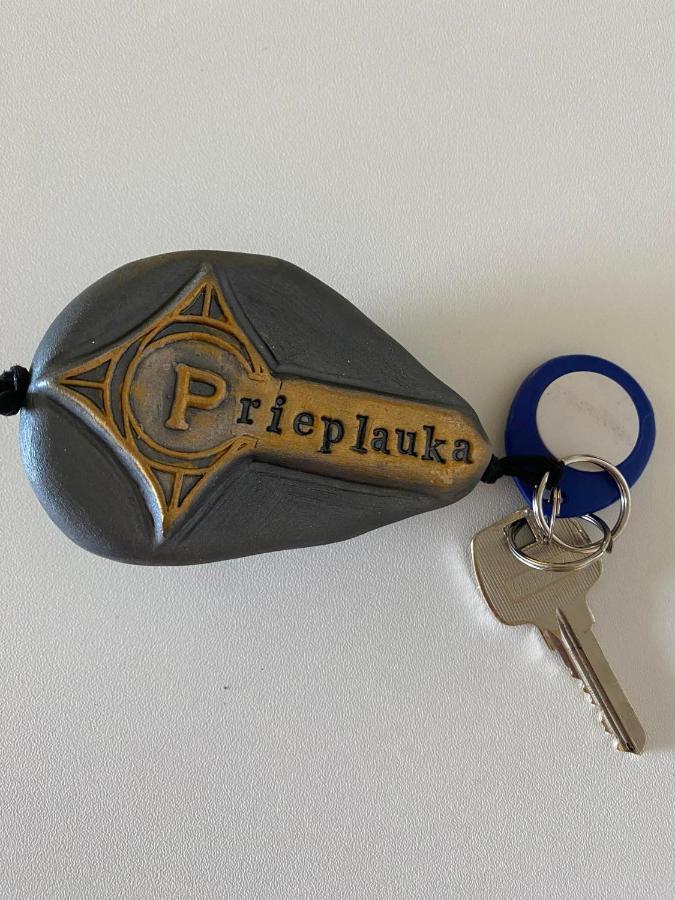 Auberge de jeunesse Rezidencija "Prieplauka" à Alytus Extérieur photo